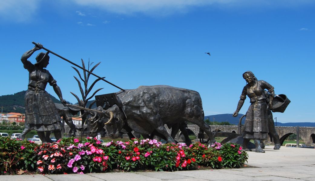 Caminho Português - Interior - Pilgino