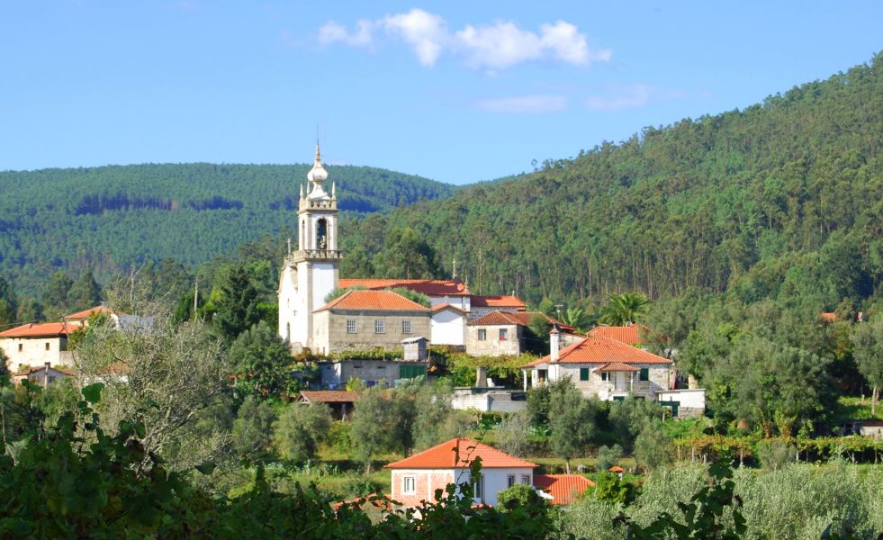 Caminho Português - Interior - Pilgino
