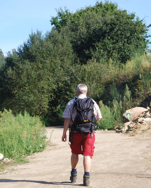 Caminho Português - Interior - Pilgino