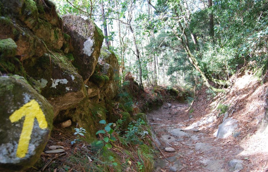 Caminho Português - Interior - Pilgino