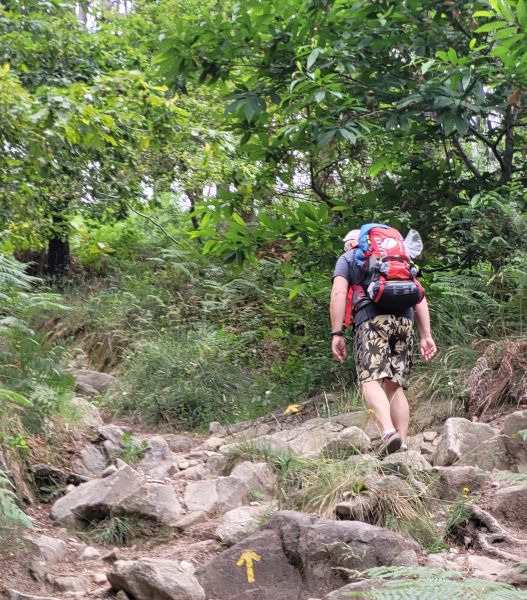 Caminho Português - Interior - Pilgino