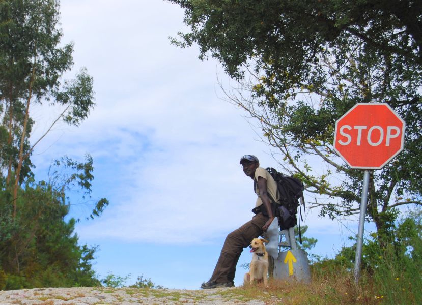 Caminho Português - Interior - Pilgino