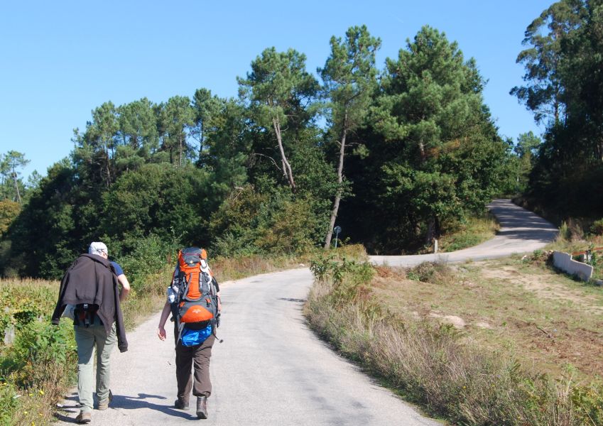 Caminho Português - Interior - Pilgino