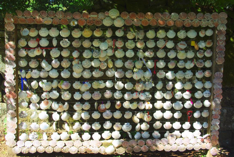 Caminho Português - Interior - Pilgino