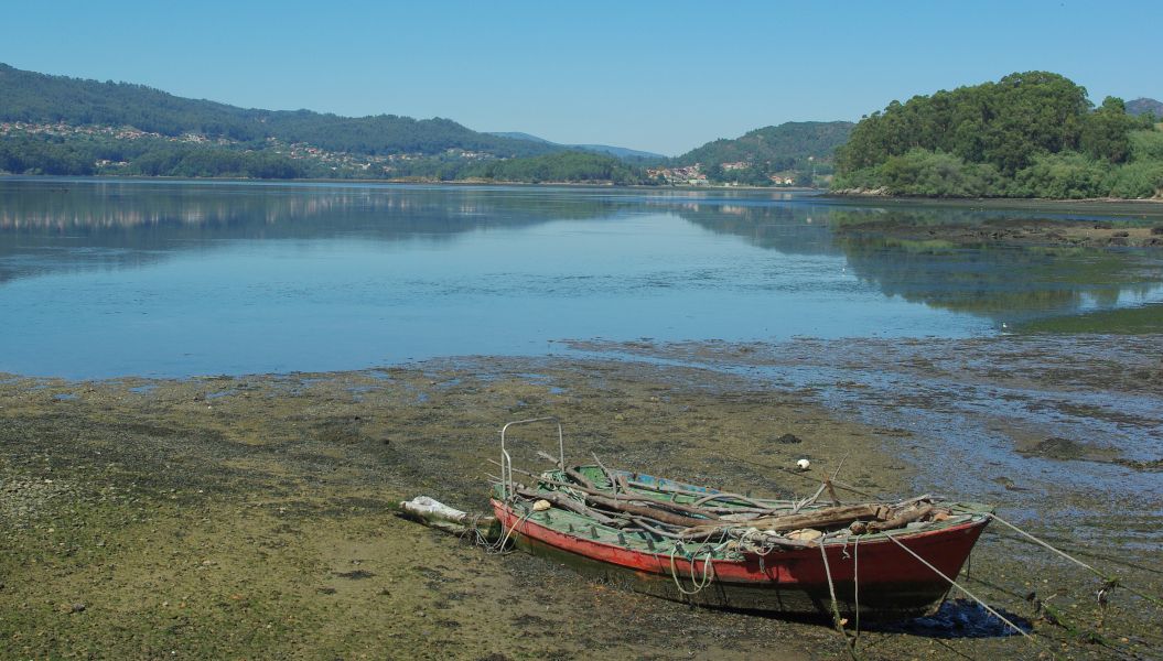 Caminho Português - Interior - Pilgino