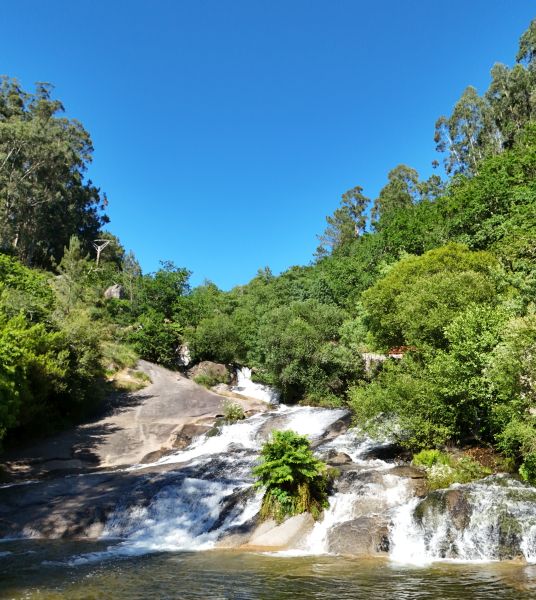Caminho Português - Interior - Pilgino