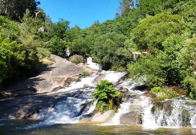Caminho Português - Interior - Pilgino