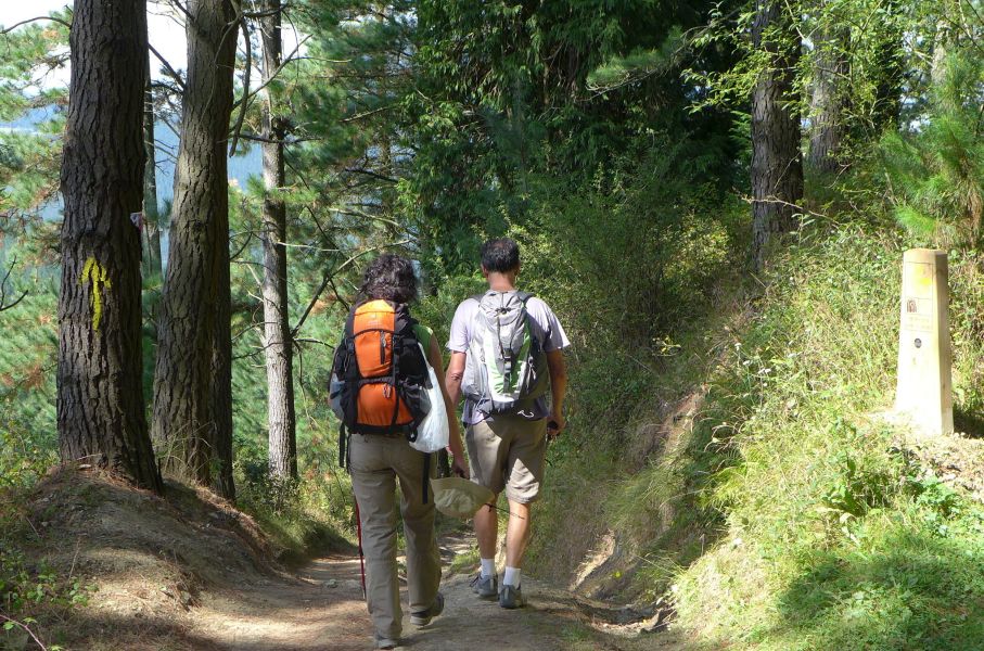 Camino del Norte - Komplett: Hondarribia (Irún) - Santiago - Pilgino