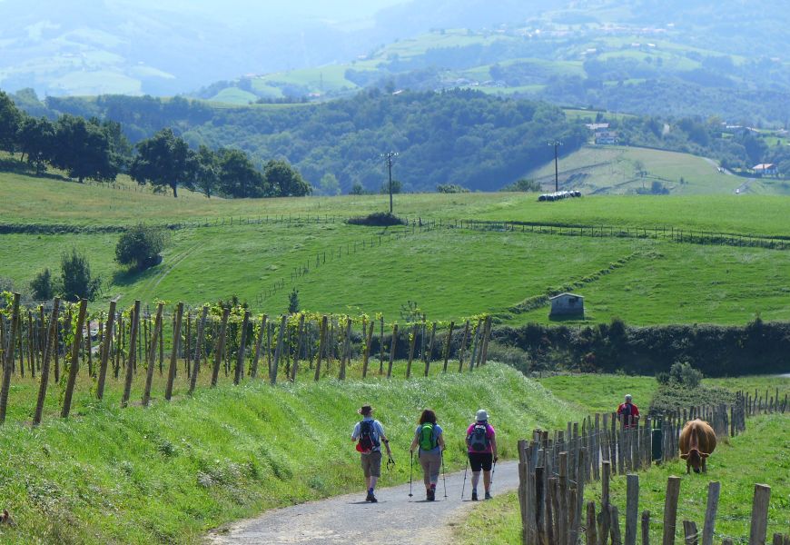 Camino del Norte - Komplett: Hondarribia (Irún) - Santiago - Pilgino