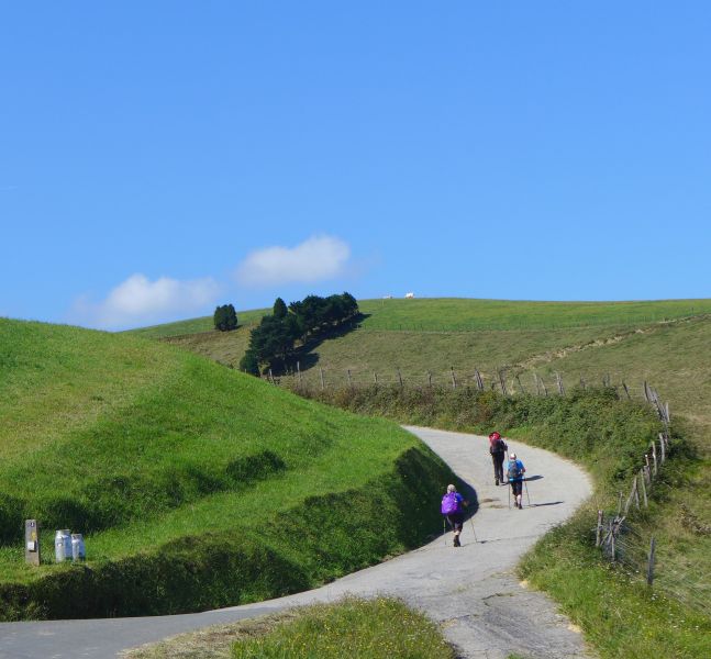 Camino del Norte - Komplett: Hondarribia (Irún) - Santiago - Pilgino