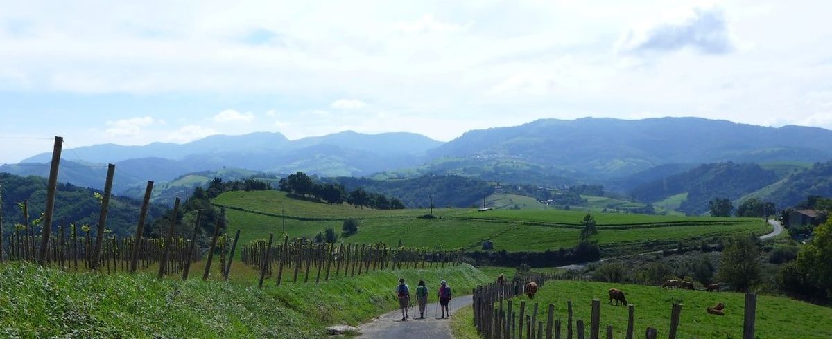 Camino del Norte - Komplett: Hondarribia (Irún) - Santiago - Pilgino
