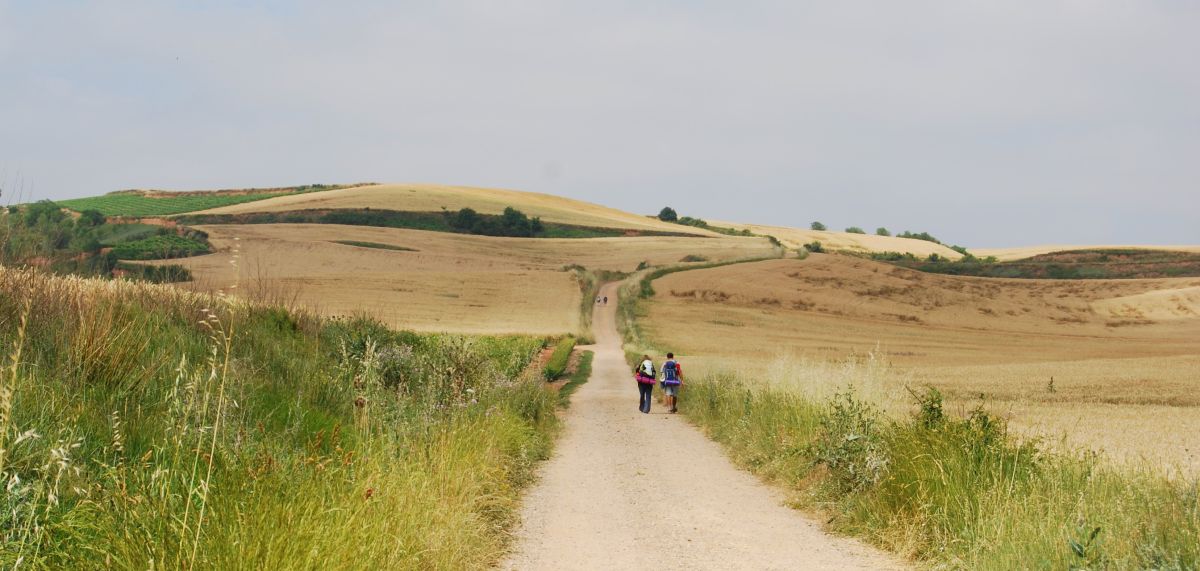 Tour 2 Burgos - Pilgino