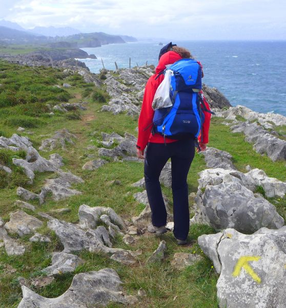 Camino del Norte - Komplett: Hondarribia (Irún) - Santiago - Pilgino
