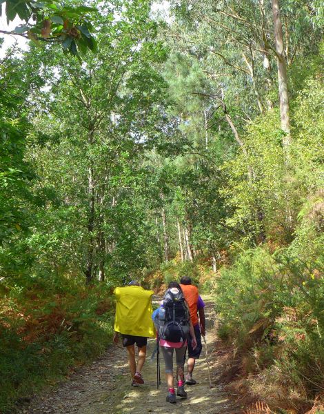 Tour N3 Gijón - Pilgino