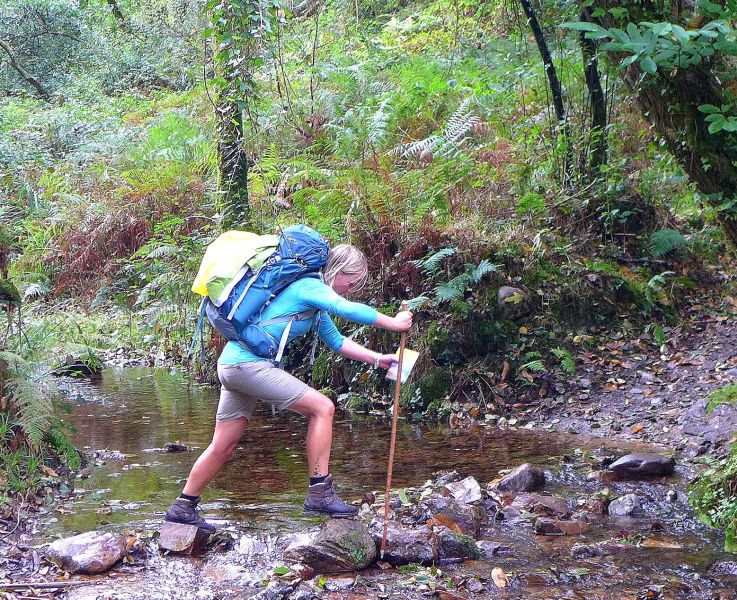 Camino del Norte - Komplett: Hondarribia (Irún) - Santiago - Pilgino