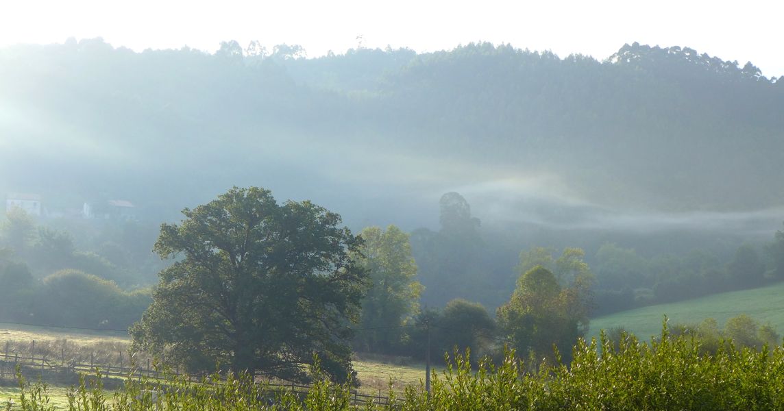 Camino del Norte - Komplett: Hondarribia (Irún) - Santiago - Pilgino