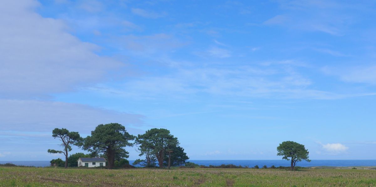 Camino del Norte - Komplett: Hondarribia (Irún) - Santiago - Pilgino