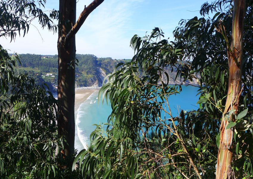 Tour N3 Gijón - Pilgino