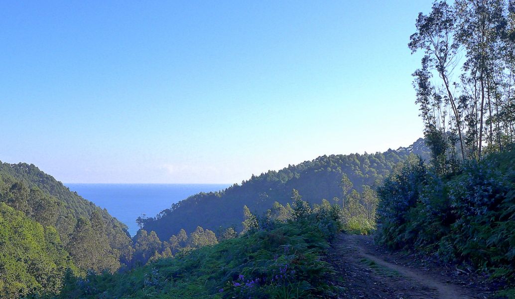 Tour N3 Gijón - Pilgino