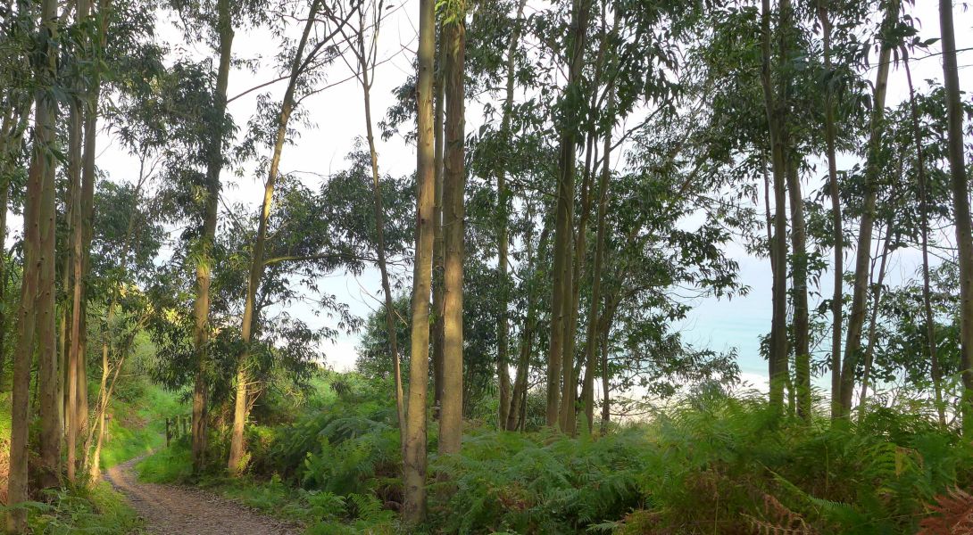 Tour N3 Gijón - Pilgino