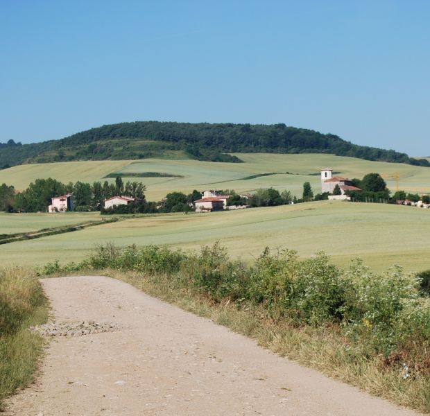 Tour 2 Burgos - Pilgino
