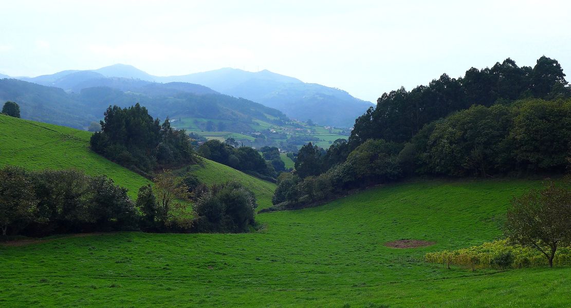 Camino del Norte - Komplett: Hondarribia (Irún) - Santiago - Pilgino