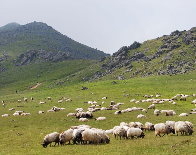Ruta 1 Pamplona - Pilgino