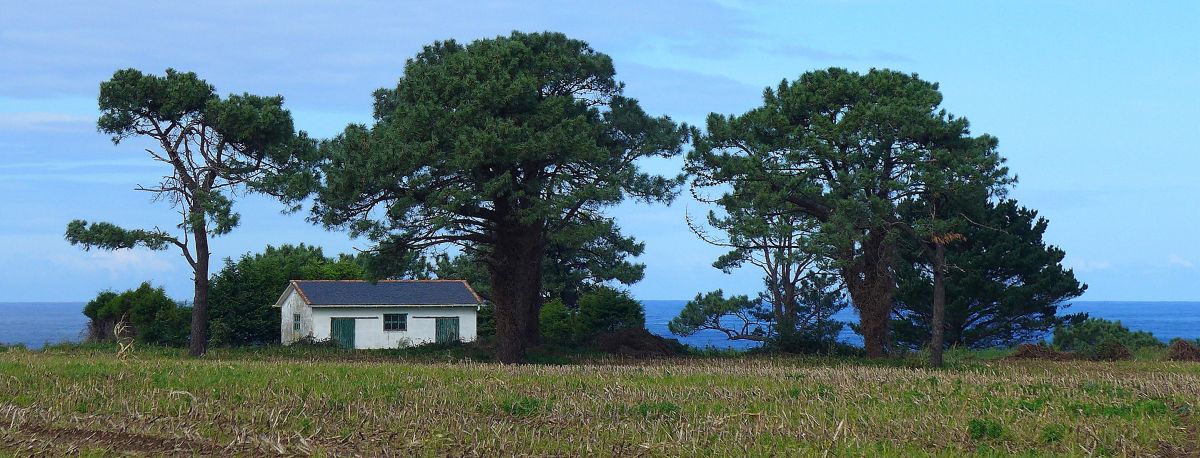 Tour N3 Gijón - Pilgino