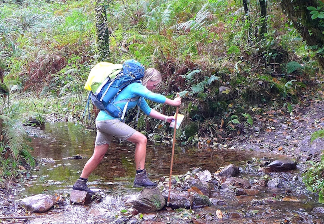 Camino del Norte - Komplett: Hondarribia (Irún) - Santiago - Pilgino