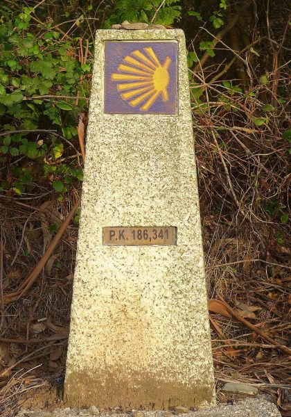 Camino del Norte - Komplett: Hondarribia (Irún) - Santiago - Pilgino