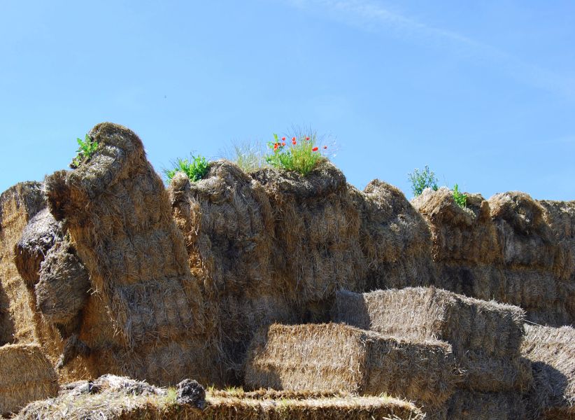 Tour 2 Burgos - Pilgino