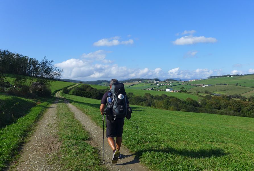 Camino del Norte - Komplett: Hondarribia (Irún) - Santiago - Pilgino