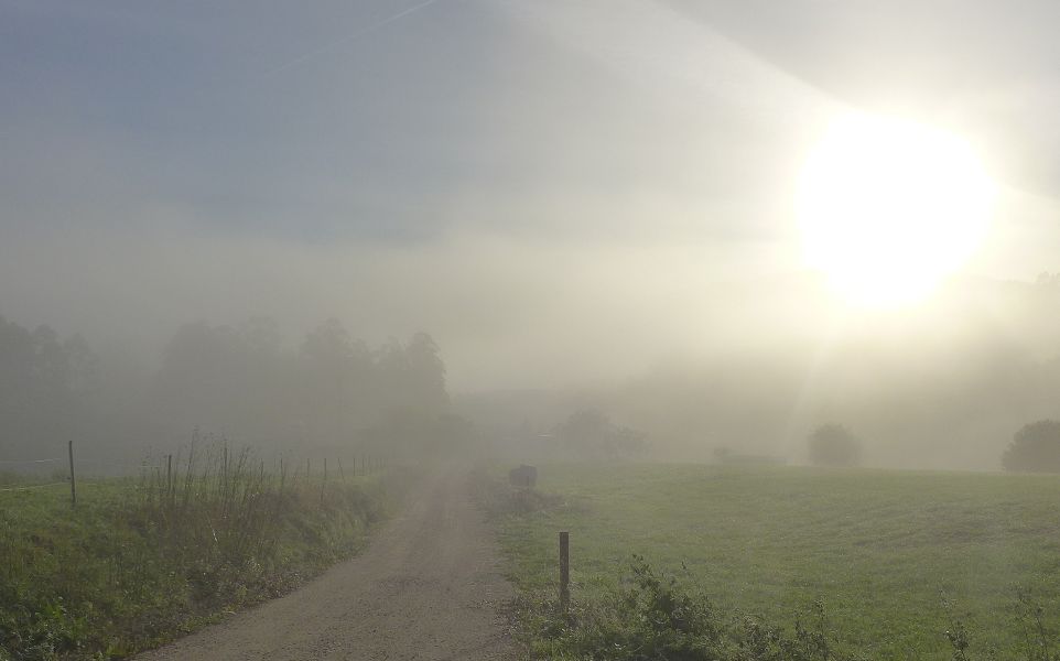 Camino del Norte - Komplett: Hondarribia (Irún) - Santiago - Pilgino