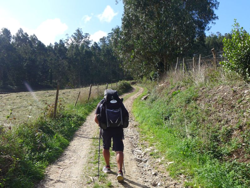 Camino del Norte - Komplett: Hondarribia (Irún) - Santiago - Pilgino