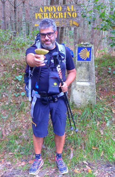 Camino del Norte - Komplett: Hondarribia (Irún) - Santiago - Pilgino