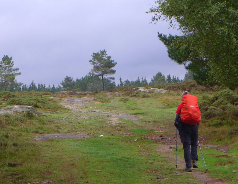 Camino del Norte - Komplett: Hondarribia (Irún) - Santiago - Pilgino