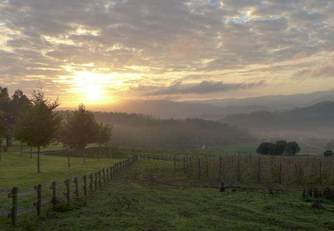 Camino del Norte - Komplett: Hondarribia (Irún) - Santiago - Pilgino