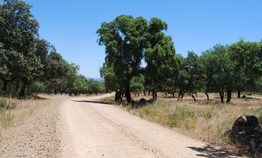 Sevillai túra - Pilgino
