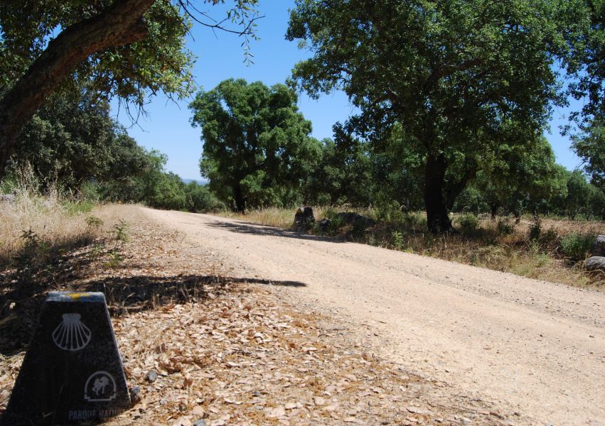 Sevillai túra - Pilgino