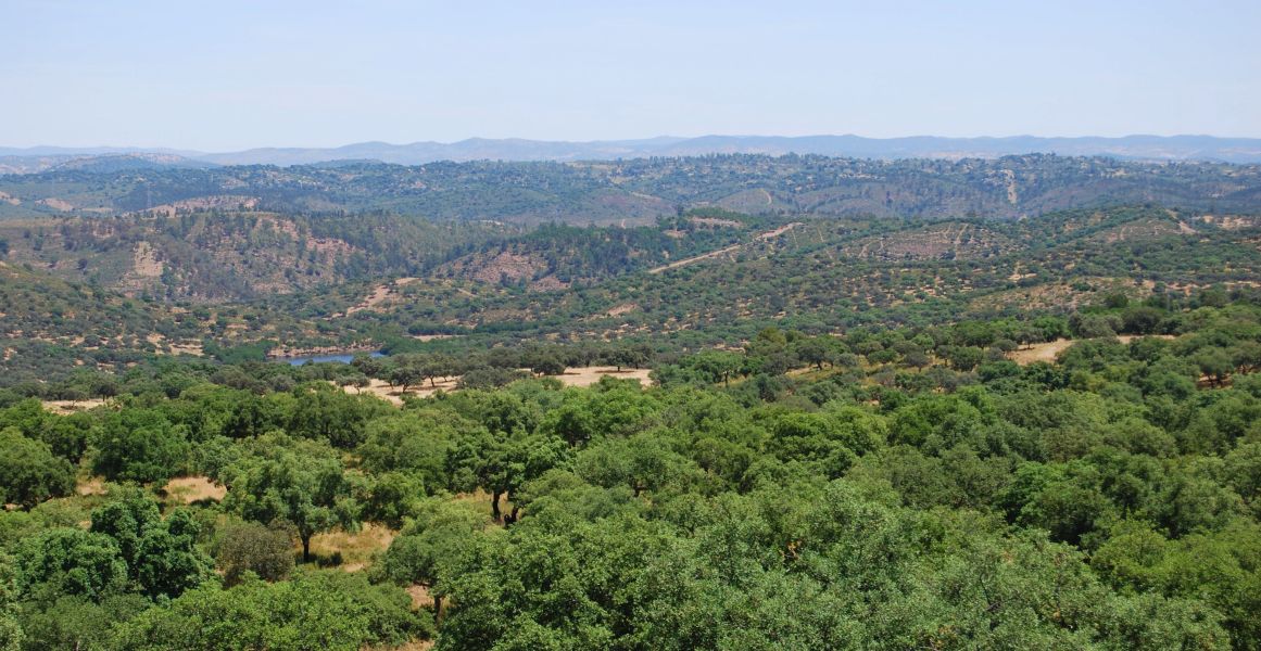 Sevillai túra - Pilgino