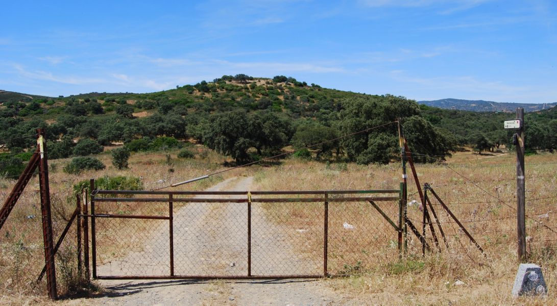 Sevillai túra - Pilgino