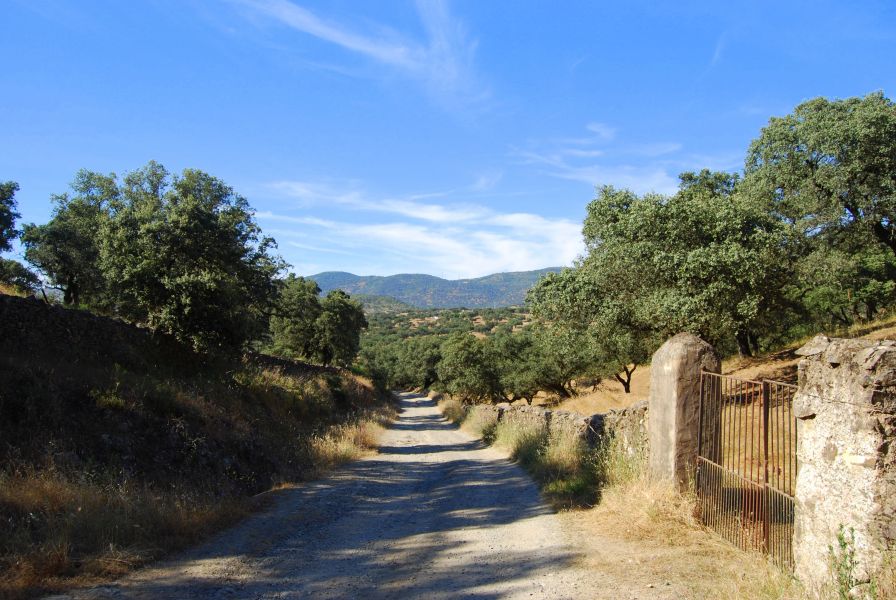 Sevillai túra - Pilgino