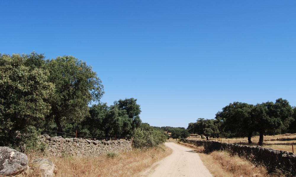 Sevillai túra - Pilgino