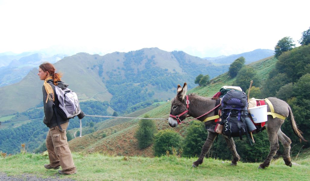Ruta 1 Pamplona - Pilgino