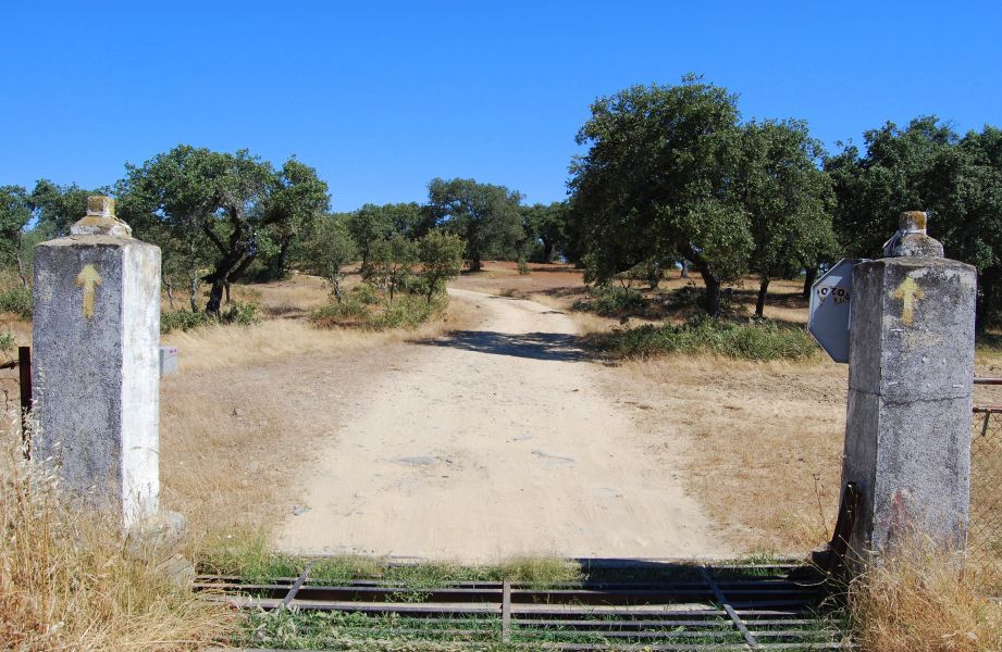 Sevillai túra - Pilgino