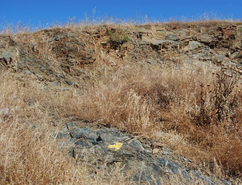 Sevillai túra - Pilgino