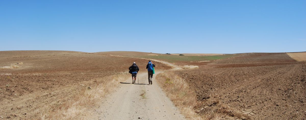 Sevillai túra - Pilgino