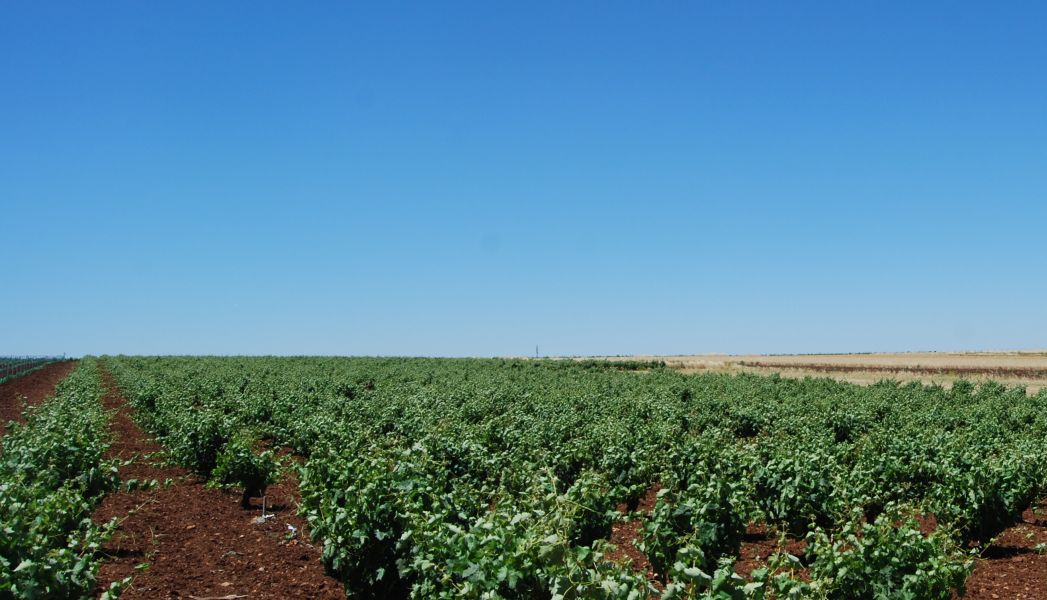 Sevillai túra - Pilgino