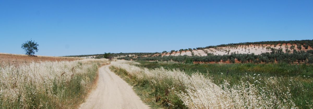 Sevillai túra - Pilgino