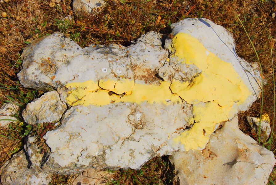 Tour 2 Burgos - Pilgino